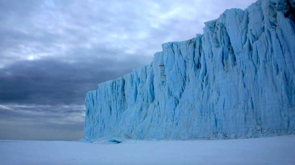 screen shot from Anthony Powell's Antarctica: A Year On Ice